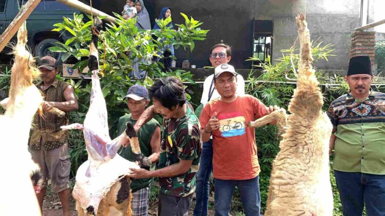 Pokja Konstituen Dewan Pers Provinsi Banten Sembelih Hewan Kurban, 25 Kambing 1 Sapi