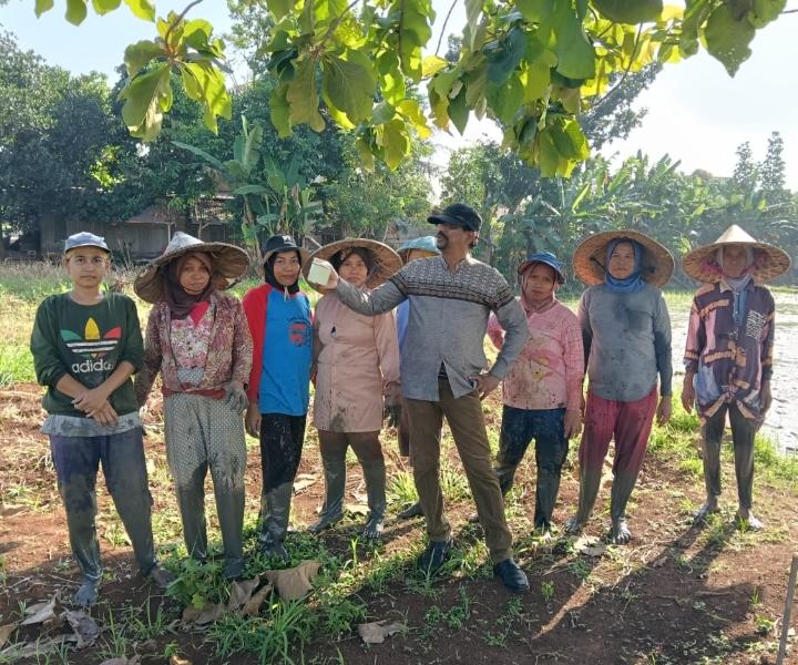 Kunjungan Ketua PHRI Banten ke Kebun Organik Serang