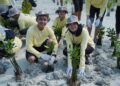 Bukan Sekadar Migas, PHI Turun Langsung Rehabilitasi Ekosistem Pesisir di Pulau Pari
