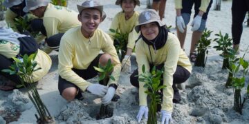 Bukan Sekadar Migas, PHI Turun Langsung Rehabilitasi Ekosistem Pesisir di Pulau Pari