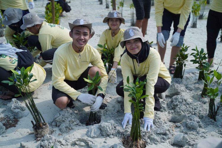 Bukan Sekadar Migas, PHI Turun Langsung Rehabilitasi Ekosistem Pesisir di Pulau Pari