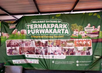 STII Konsolidasikan Petani Pantura, Dorong Penguatan Pangan dan Agrobisnis Daerah