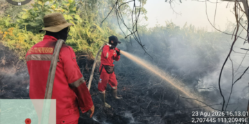 Hadapi Karhutla di Berbagai Daerah, Operasi Pemadaman dan Pengendalian Terus Ditingkatkan